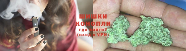 прущие грибы Слюдянка