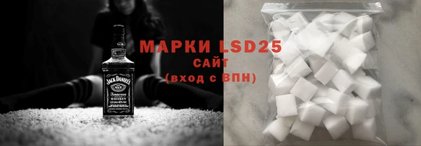 ГАЛЛЮЦИНОГЕННЫЕ ГРИБЫ Белокуриха