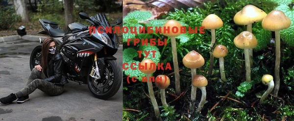 МДПВ Беломорск