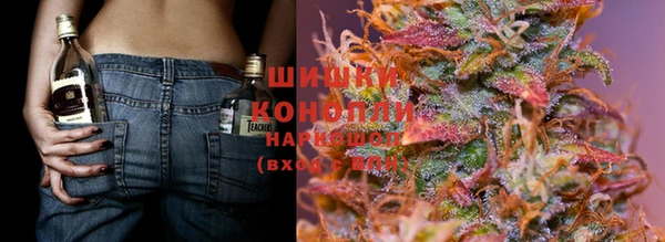 ГАЛЛЮЦИНОГЕННЫЕ ГРИБЫ Белокуриха