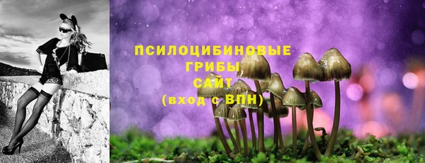 ГАЛЛЮЦИНОГЕННЫЕ ГРИБЫ Белокуриха