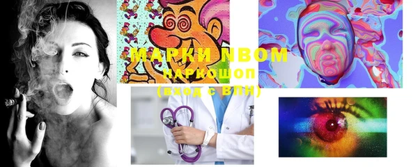 ГАЛЛЮЦИНОГЕННЫЕ ГРИБЫ Белокуриха