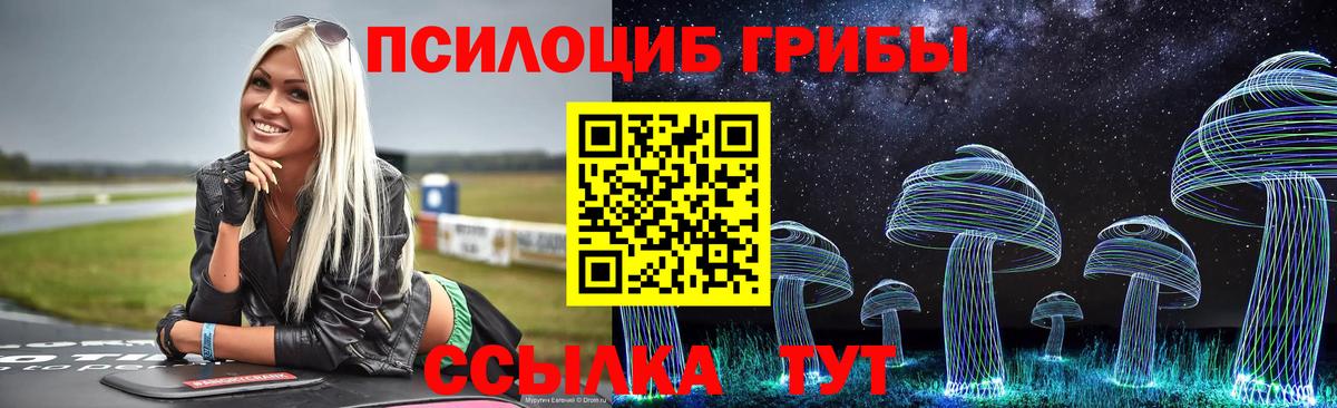 Галлюциногенные грибы Magic Shrooms  Псилоцибиновые грибы Psilocybine cubensis  Вязьма  Вход с VPN 